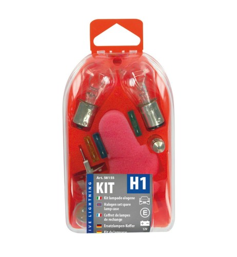Kit lampadine di ricambio 12V H1 P21W P21 5W R5W T4W C5W T5 W5W fusibil