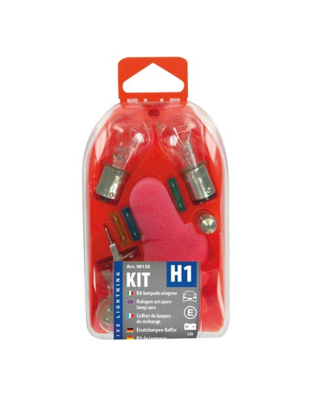 Kit lampadine di ricambio 12V H1 P21W P21 5W R5W T4W C5W T5 W5W fusibil