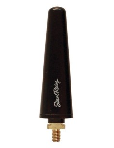 Antenna auto Simoni Racing Special Alfa Romeo Fiat Lancia M5