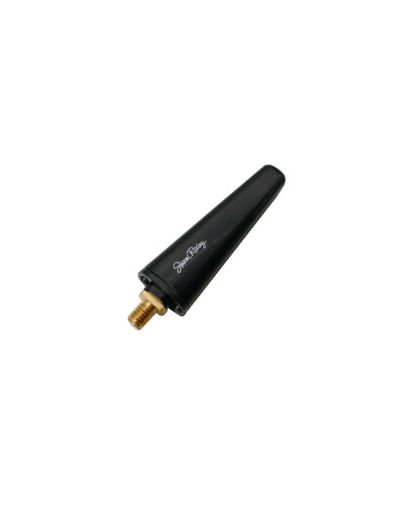 Antenna auto Simoni Racing Special Alfa Romeo Fiat Lancia M5