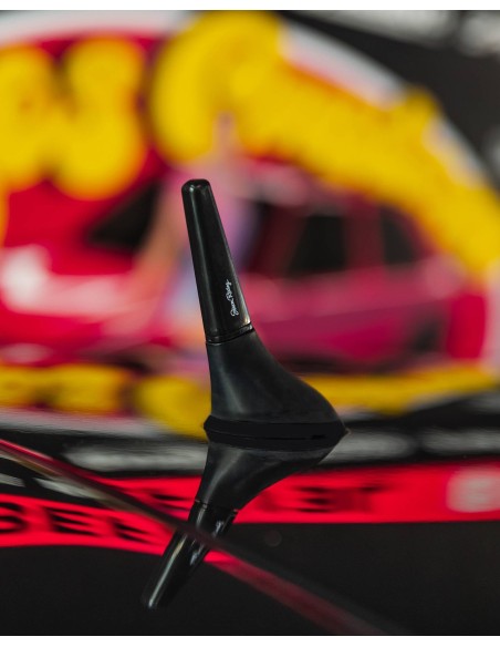 Antenna auto Simoni Racing Special Alfa Romeo Fiat Lancia M5