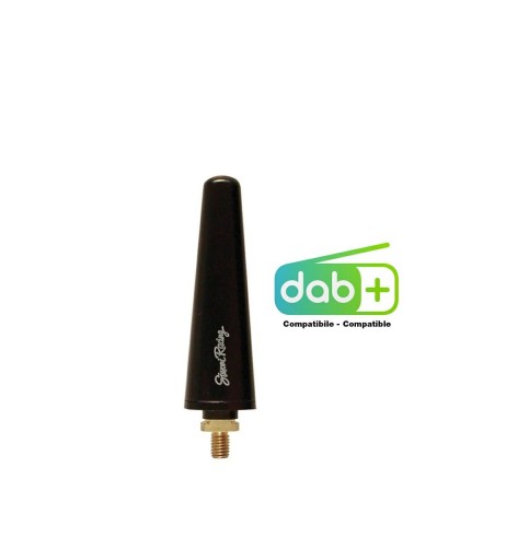 Antenna auto Simoni Racing Special Alfa Romeo Fiat Lancia M5