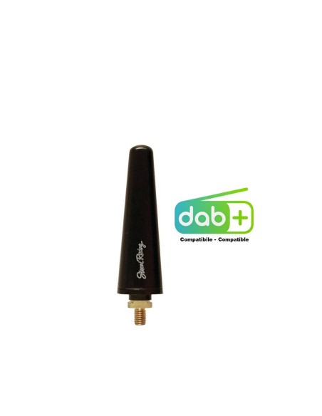 Antenna auto Simoni Racing Special Alfa Romeo Fiat Lancia M5