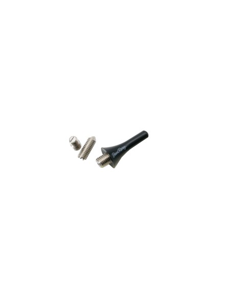Antenna auto Simoni Racing Mini nera 3cm