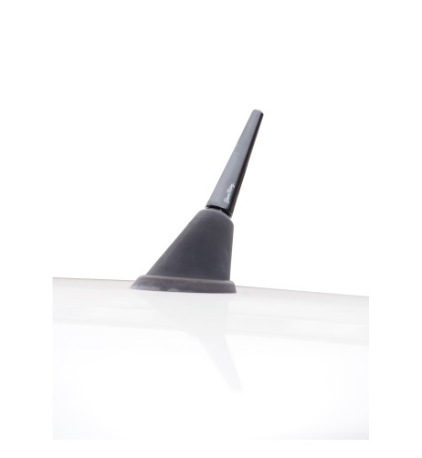 Antenna auto Simoni Racing SHORT NERA 6cm