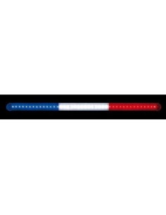 Bandiera luminosa Francia 42 Led 24V camion 2