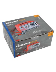 Caricabatteria 6V 12V professionale auto moto 2