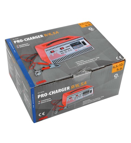 Caricabatteria 6V 12V professionale auto moto