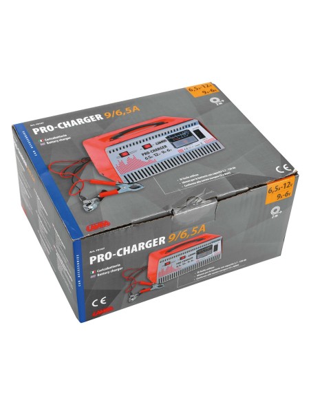 Caricabatteria 6V 12V professionale auto moto