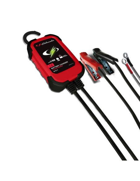 Caricabatteria e mantenitore automatico SPI1 - 6-12V 1A