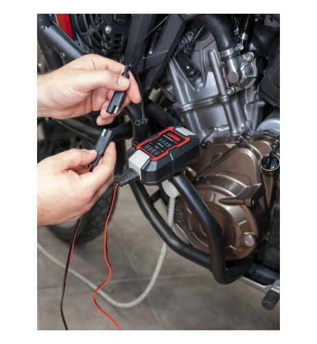 Caricatore montaggio manubrio con doppia presa USB SAE