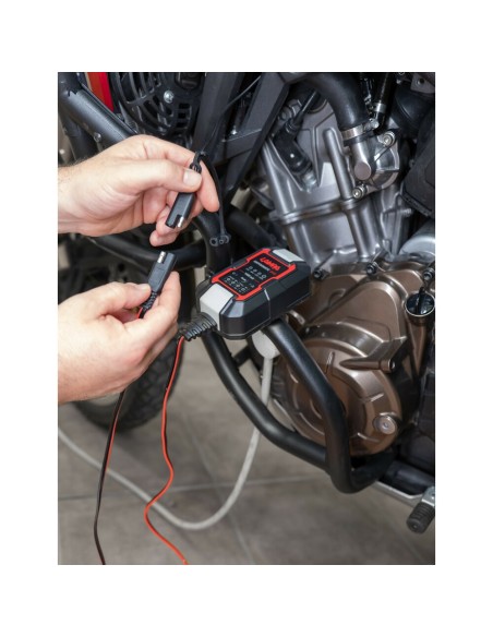 Caricatore montaggio manubrio con doppia presa USB SAE