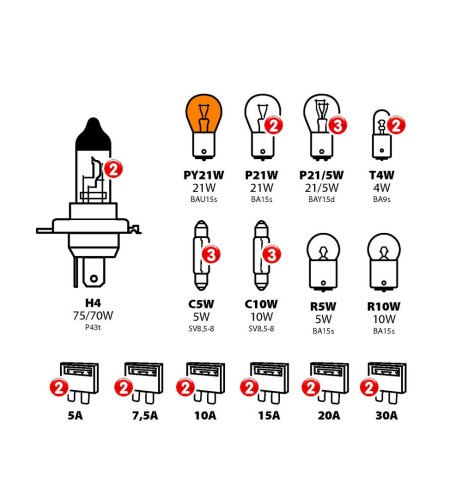 Valigetta kit lampade ricambio 30pz Lampa 24V 2x H4