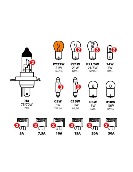 Valigetta kit lampade ricambio 30pz Lampa 24V 2x H4