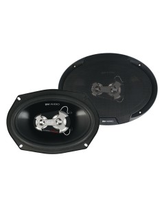 Coppia di altoparlanti Boschmann XW 3 vie 400W 160x225mm