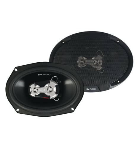 Coppia di altoparlanti Boschmann XW 3 vie 400W 160x225mm