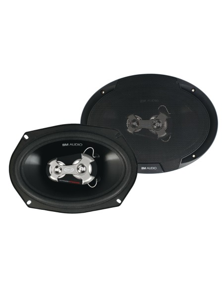 Coppia di altoparlanti Boschmann XW 3 vie 400W 160x225mm