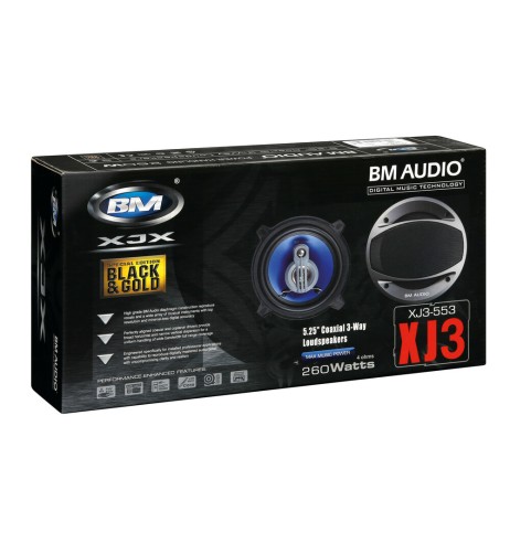 Coppia di altoparlanti Boschmann XJ3 553 260W 130mm