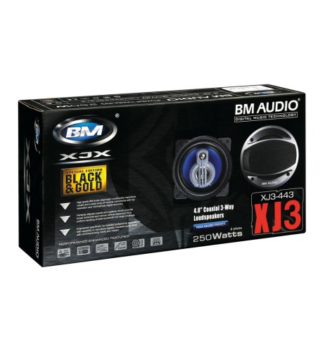 Coppia di altoparlanti Boschmann XJ3 443 250W 100mm