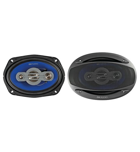 Coppia di altoparlanti Boschmann XJ3 996 500W 160x225mm