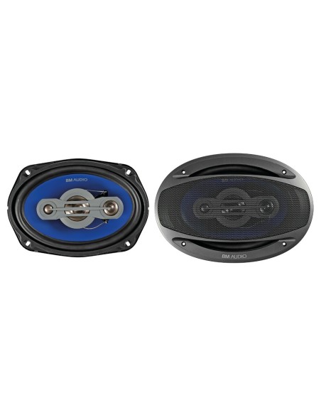 Coppia di altoparlanti Boschmann XJ3 996 500W 160x225mm