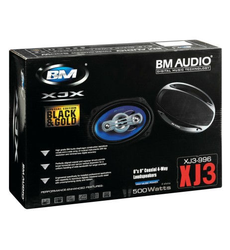 Coppia di altoparlanti Boschmann XJ3 996 500W 160x225mm