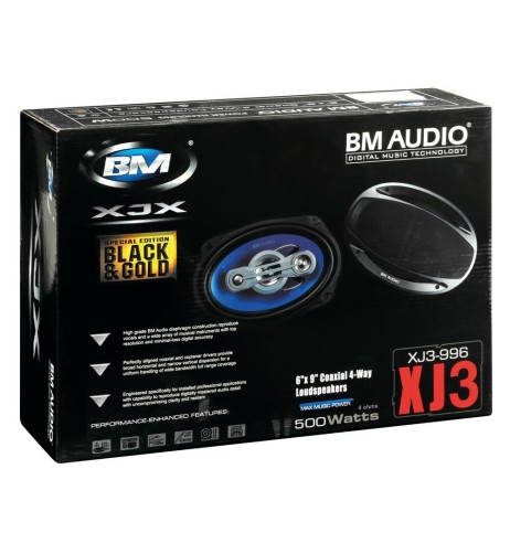 Coppia di altoparlanti Boschmann XJ3 996 500W 160x225mm