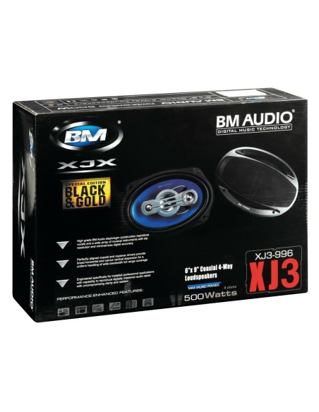 Coppia di altoparlanti Boschmann XJ3 996 500W 160x225mm