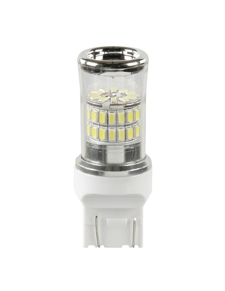 Lampadina T20 W21 5W W3x16q 48 led SMD 12V doppia polarita 