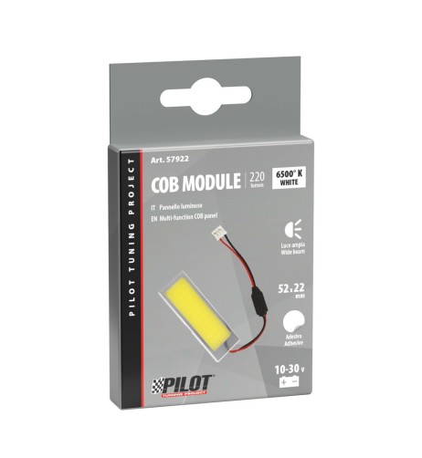 Pannello modulite led portiera auto 60x20mm 10 30V 2 4W 36 chips bianco