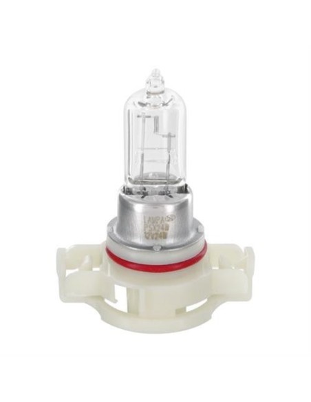 Lampada alogena di ricambio bianco 12V PSX24W 24W PG20 7
