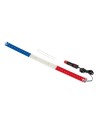 Bandiera luminosa Francia 42 Led 24V camion