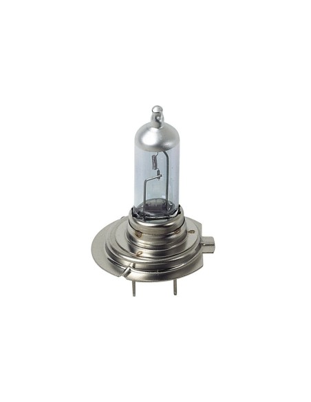 Kit lampadine plasma xenon 30 H7 12V 55W PX26d 3600K